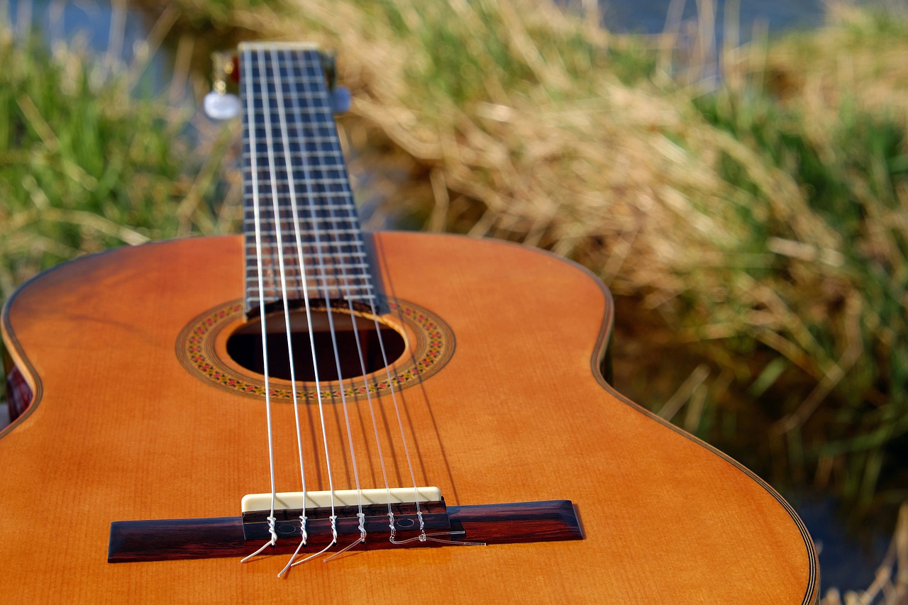 Acoustic guitar-g1704b63bd_1280 copyright in songs